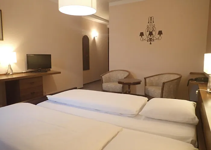 酒店 杜帕克酒店 3*